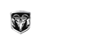 ram